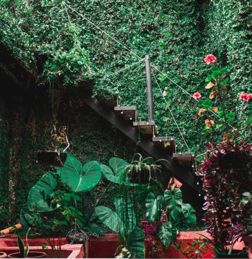 Amura Hostal Antigua Dış mekan fotoğraf