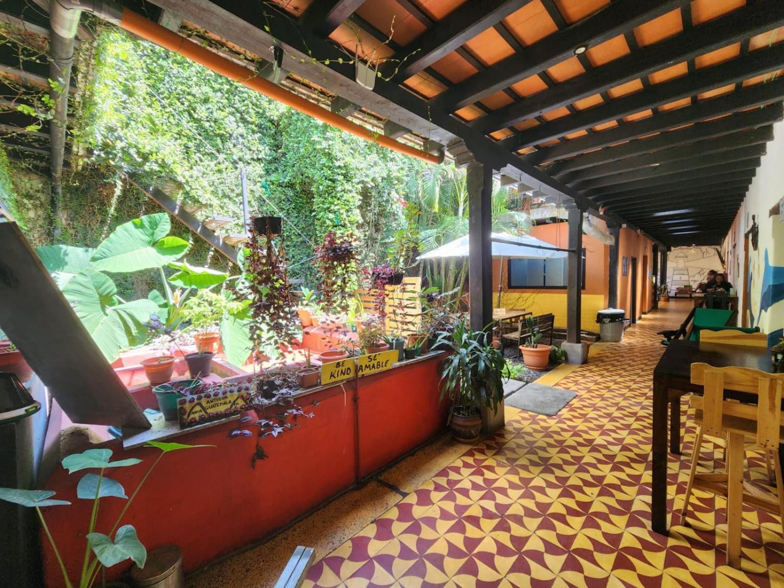 Amura Hostal Antigua Dış mekan fotoğraf